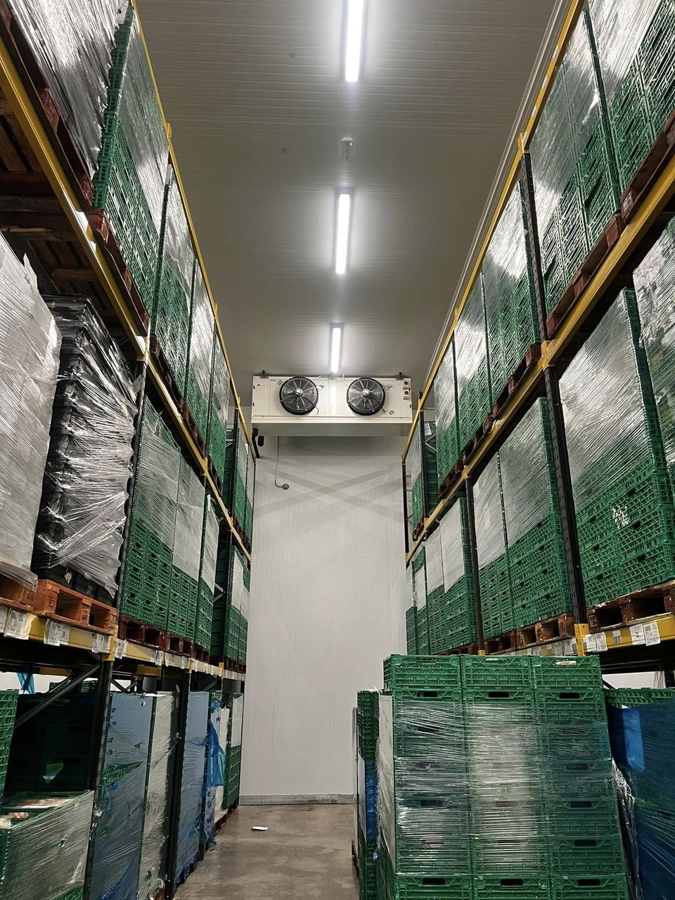 Freezer store with racking and evaporator