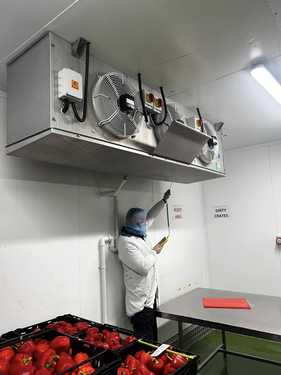 Temperature probe being calibrated at a food site